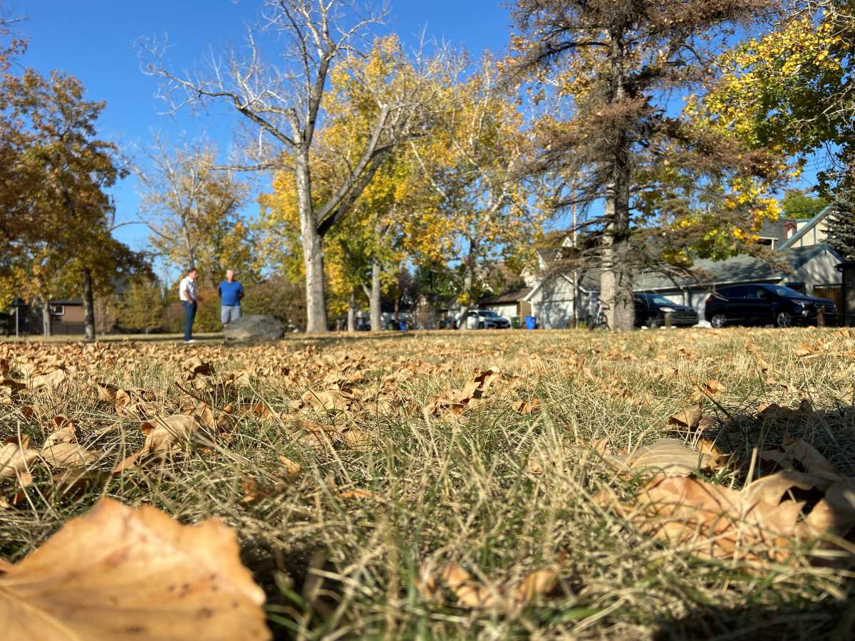 Greenspace dedicated to Wilkinson.