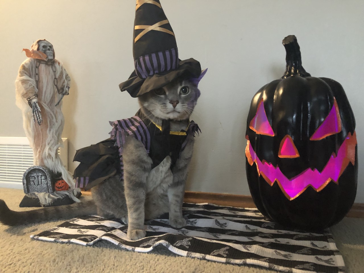 – Tara Fillion, Winnipeg, Man.