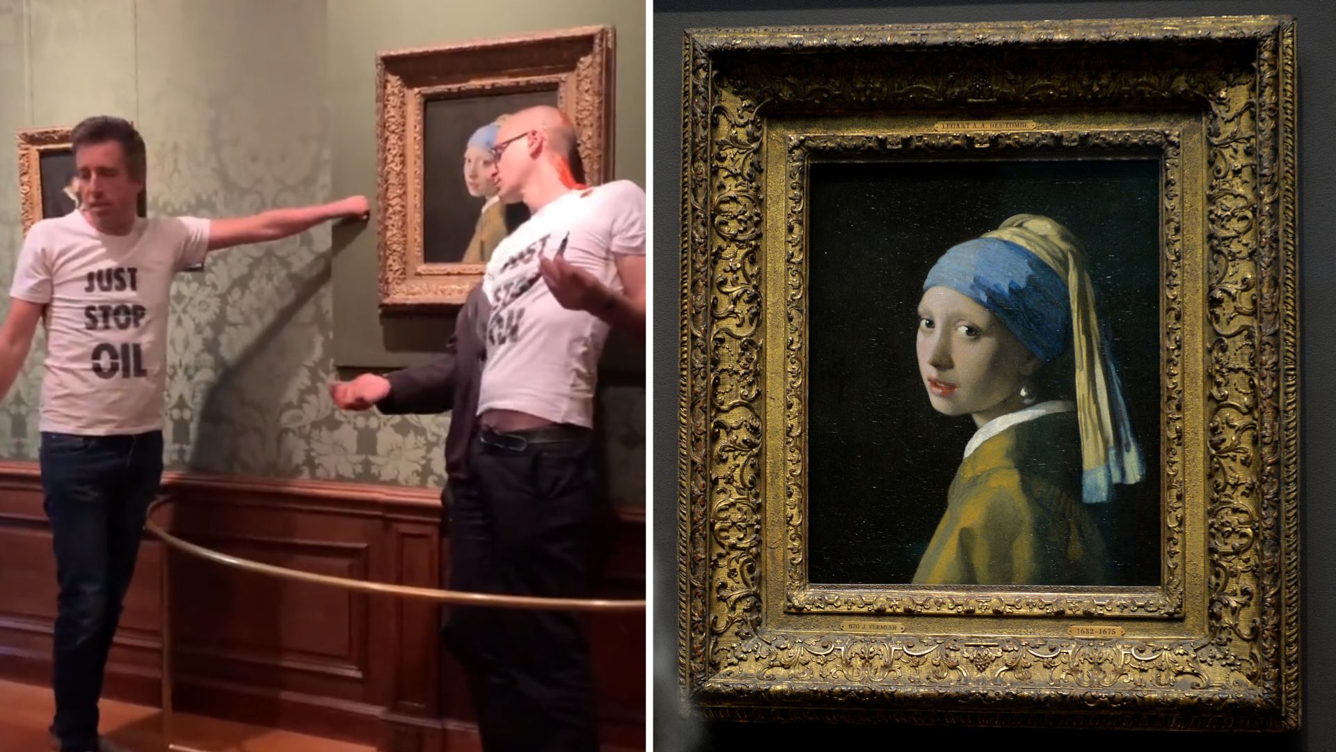 Just Stop Oil activist tries to glue own head to Girl with a Pearl Earring, Environmental activism