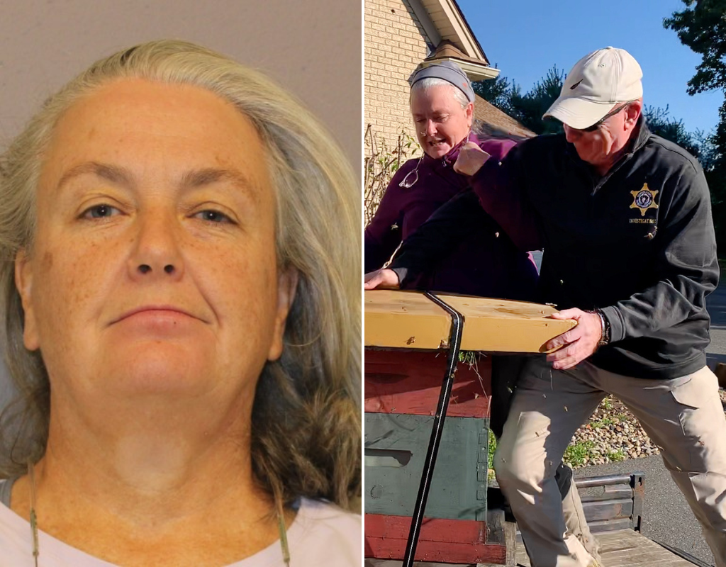 Rorie Susan Woods was charged with felony battery and assault charges for unleashing a swarm of bees on Massachusetts deputies who were enforcing an eviction notice.