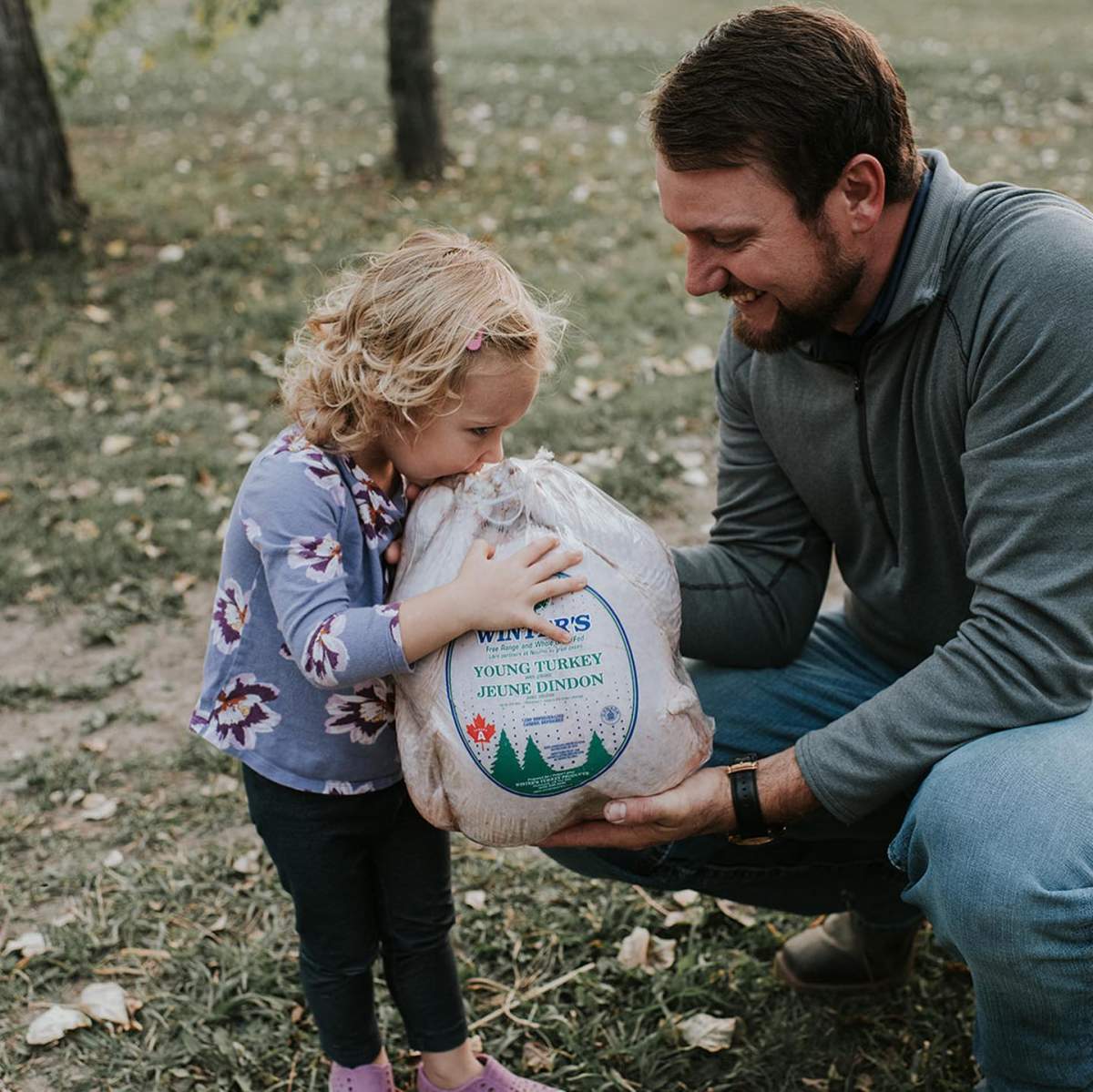 The Winter farm in Dalmead, AB