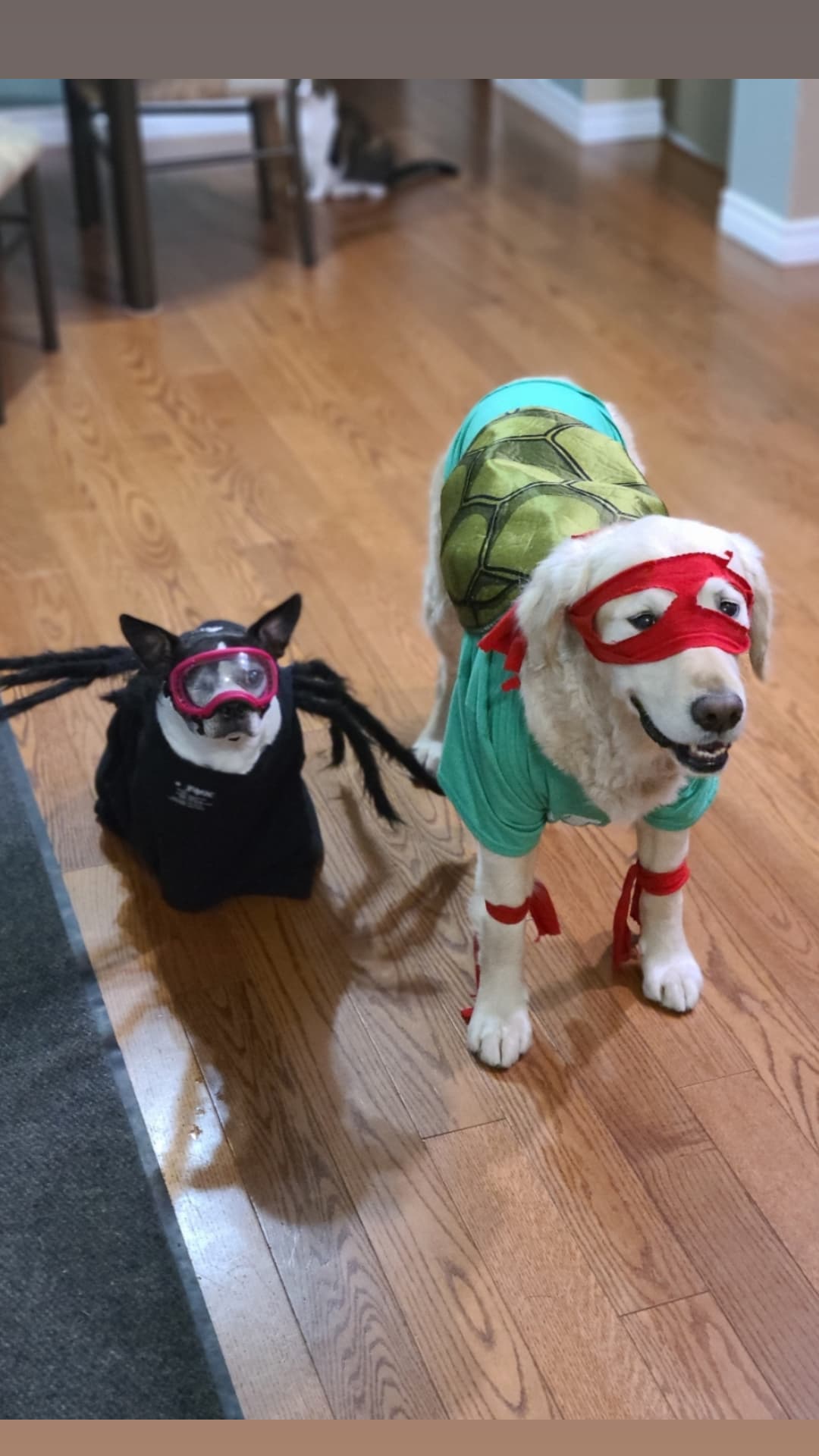 – Wesley Desroches, Elmwood, Ont.