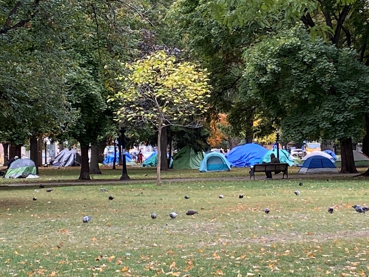 Allan Gardens Encampment