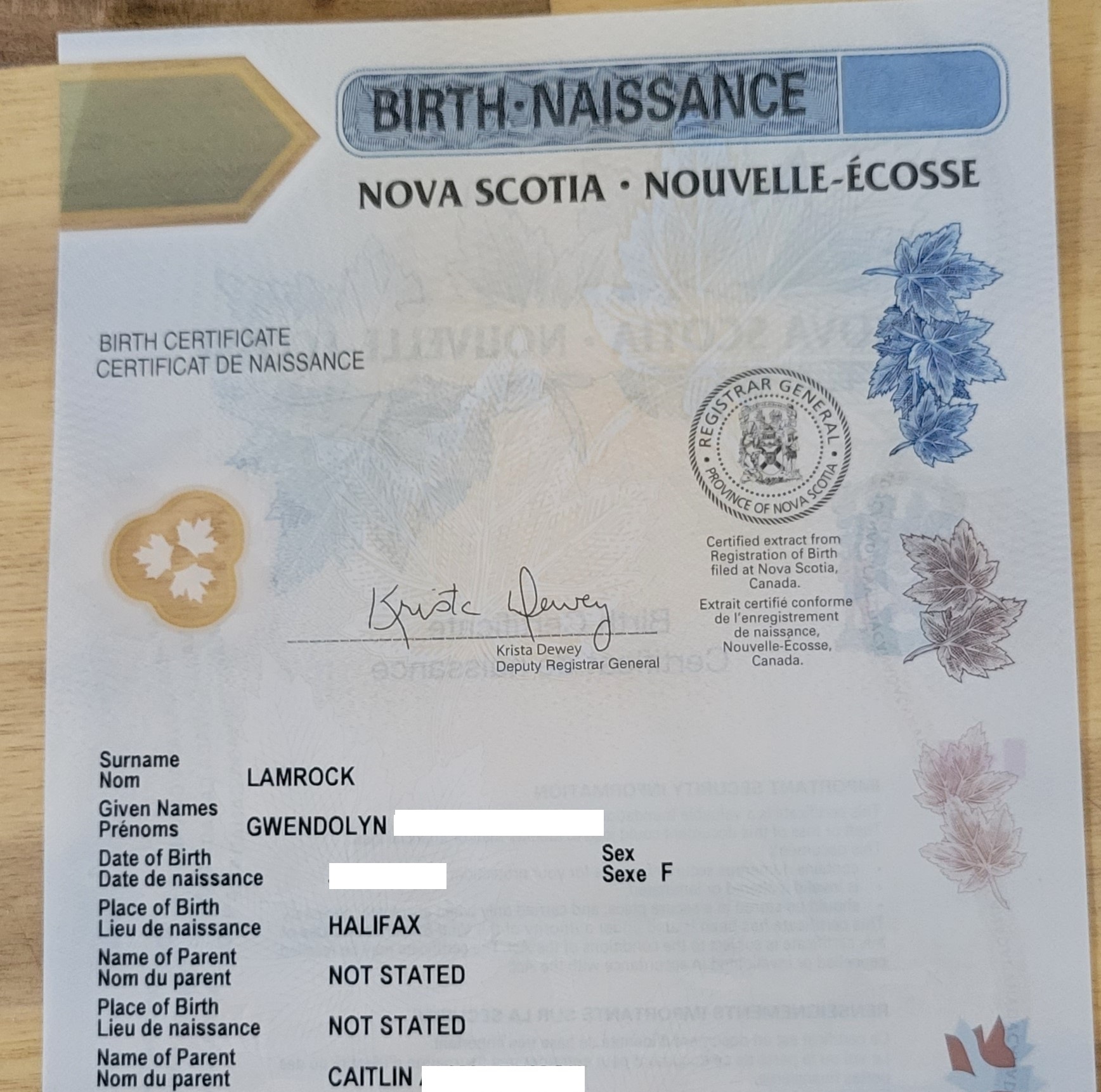 Couple Fights To Add Both Moms To Baby S Birth Certificate In N S   Birth Certificate 