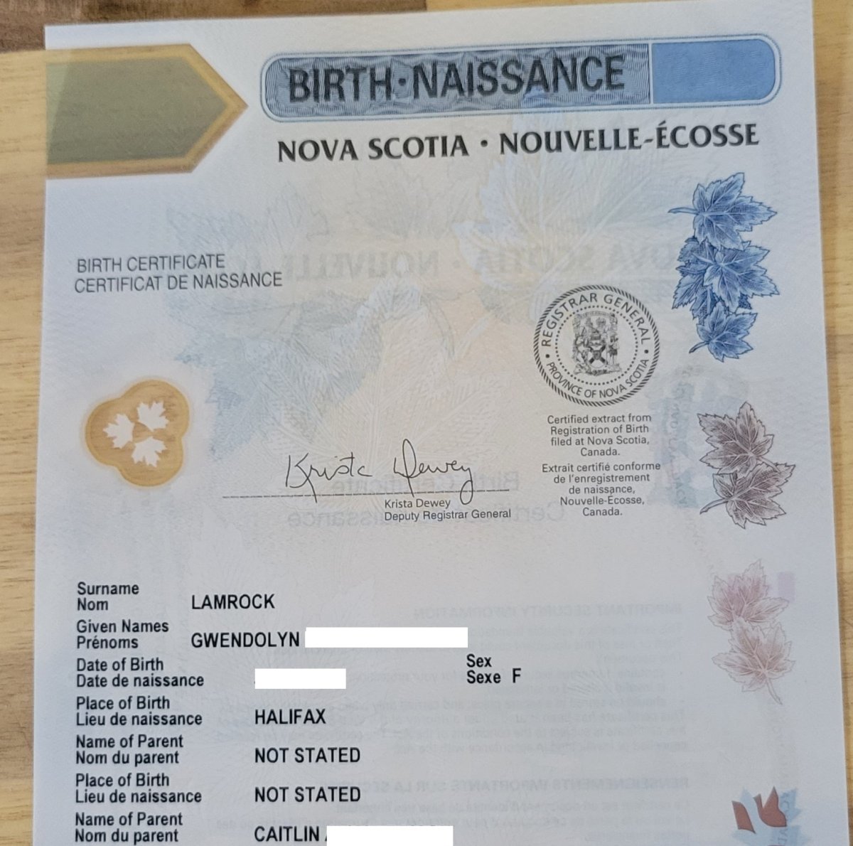 Can A Mother Refuse To Put Father On Birth Certificate? The Good