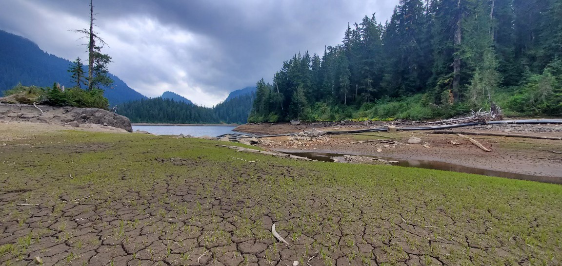 B.C. Warns Of Summer Drought, Calls For Water Conservation | Globalnews.ca