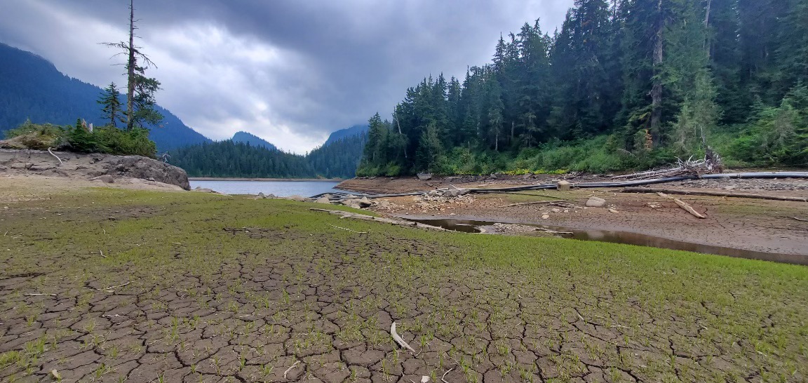 Chapman Lake reservoir in the Sunshine Coast region of B.C. is rapidly diminishing, raising fears of water shortages for the area’s 22-thousand residents.