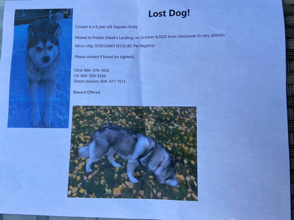 Flyers were posted within minutes.