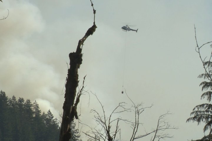 Wildfire burning at Minnekhada Regional Park in Coquitlam, B.C. sitting at 2 hectares