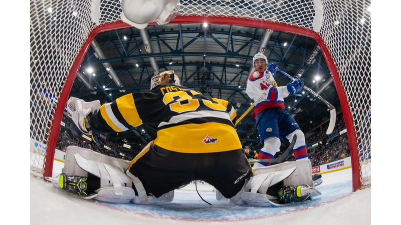 2,252 Hamilton Bulldogs Photos & High Res Pictures - Getty Images