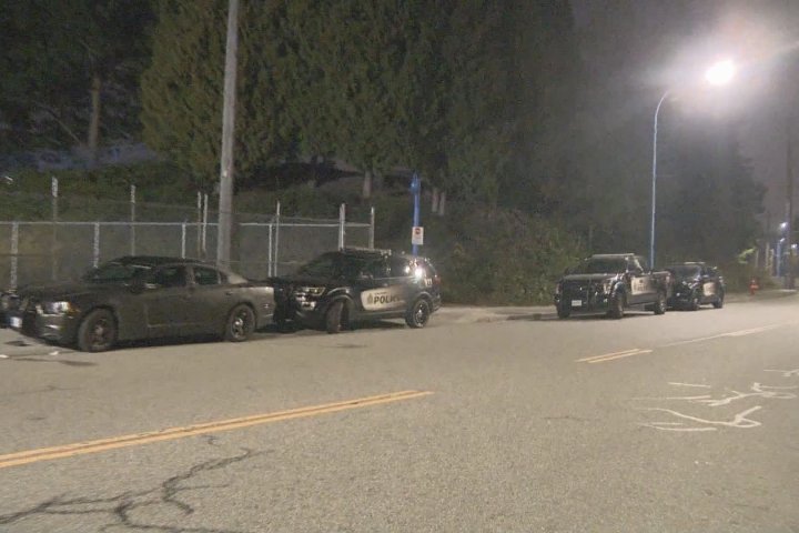 One in custody after multiple stabbings at Vancouver’s CRAB Park, police say