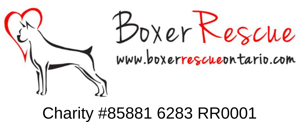 Bowling for Boxers - image