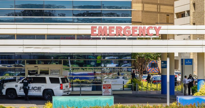 2 employees dead in Dallas hospital shooting – National

 | Media Pyro