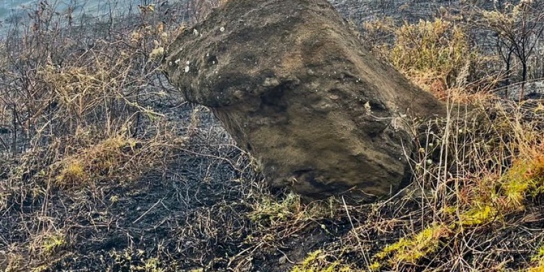 Easter Island fire ravages sacred statues, damage may be 'irreparable'