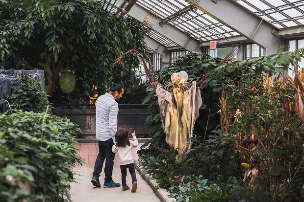 Halloween Shivers offers up all kinds of activities at the Botanical Garden. (Melanie Dussault/Espace pour la Vie)