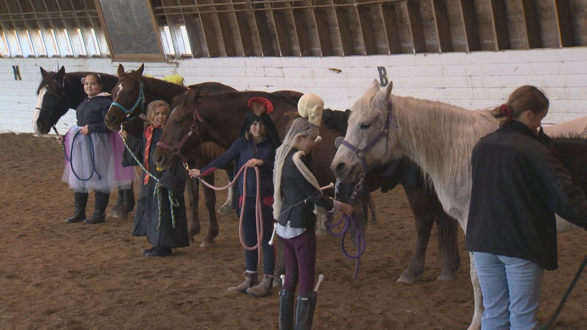 Meadow Green Stables in Winnipeg is celebrating Halloween early this year by getting the horses into costumes.