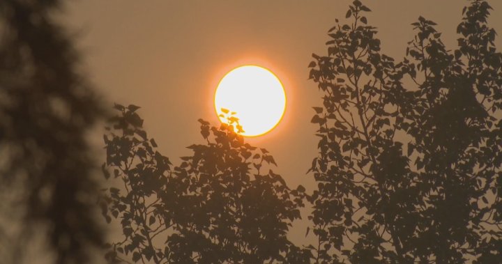 Air quality in B.C.’s Fraser Valley off the charts due to thick wildfire smoke