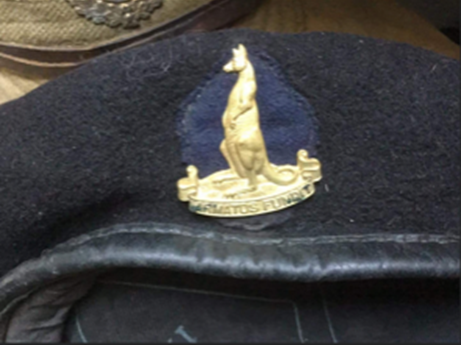 Second World War military items stolen during show in Peterborough: police - image