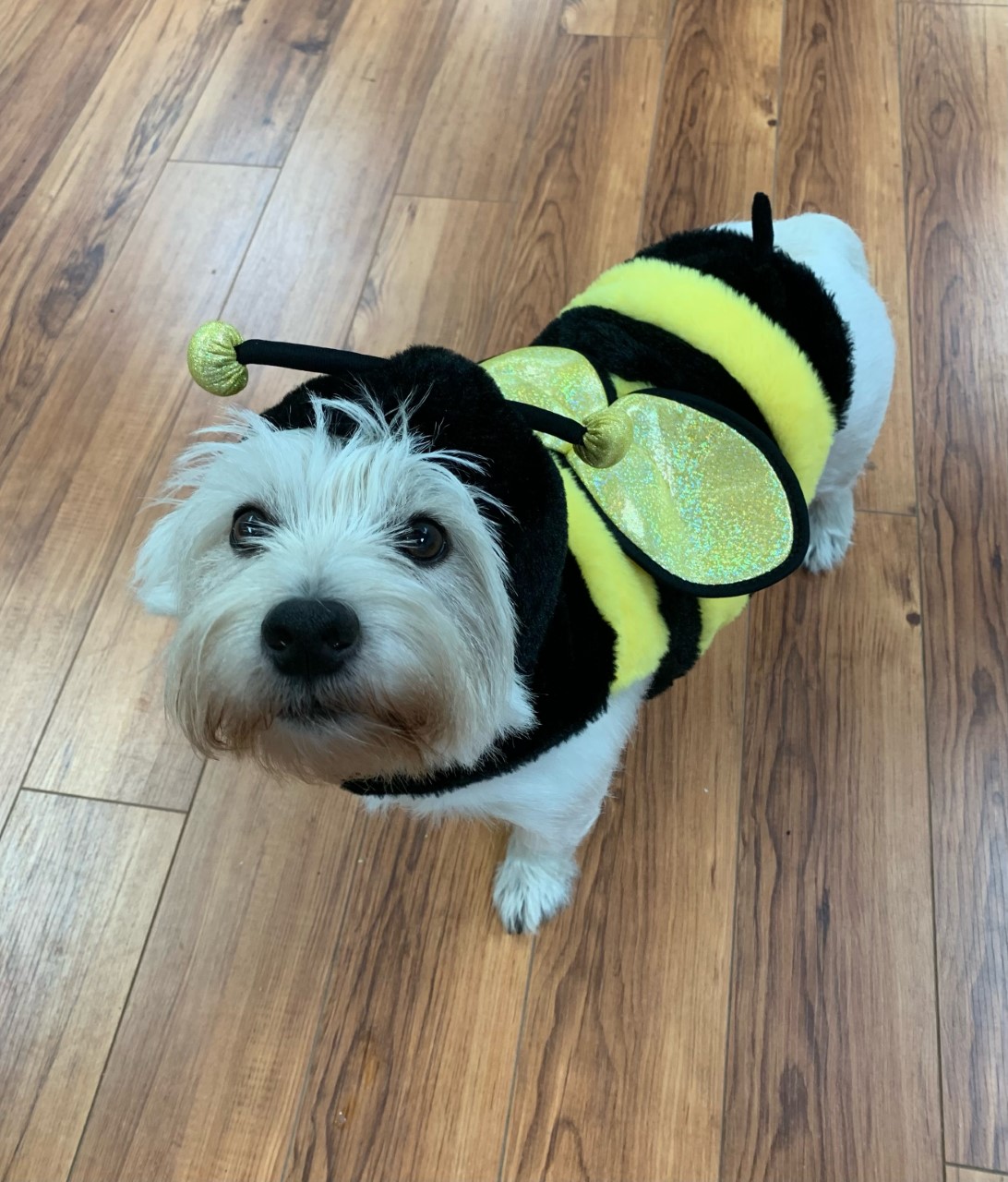 – Courtney Doucette, Digby, N.S.