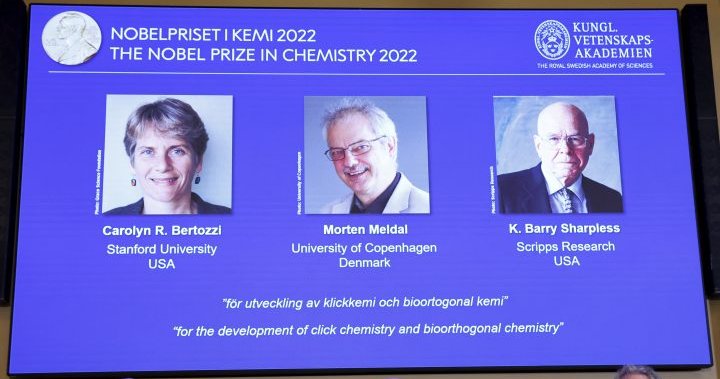Nobel Prize in chemistry goes to 3 scientists for ‘snapping molecules together’
