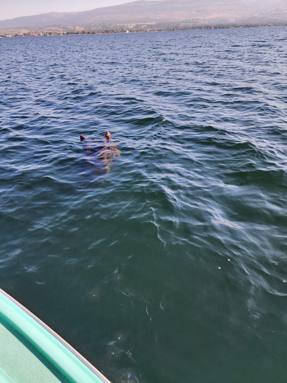 A Kelowna couple caught this image when they saw a strange figure in the lake this week.