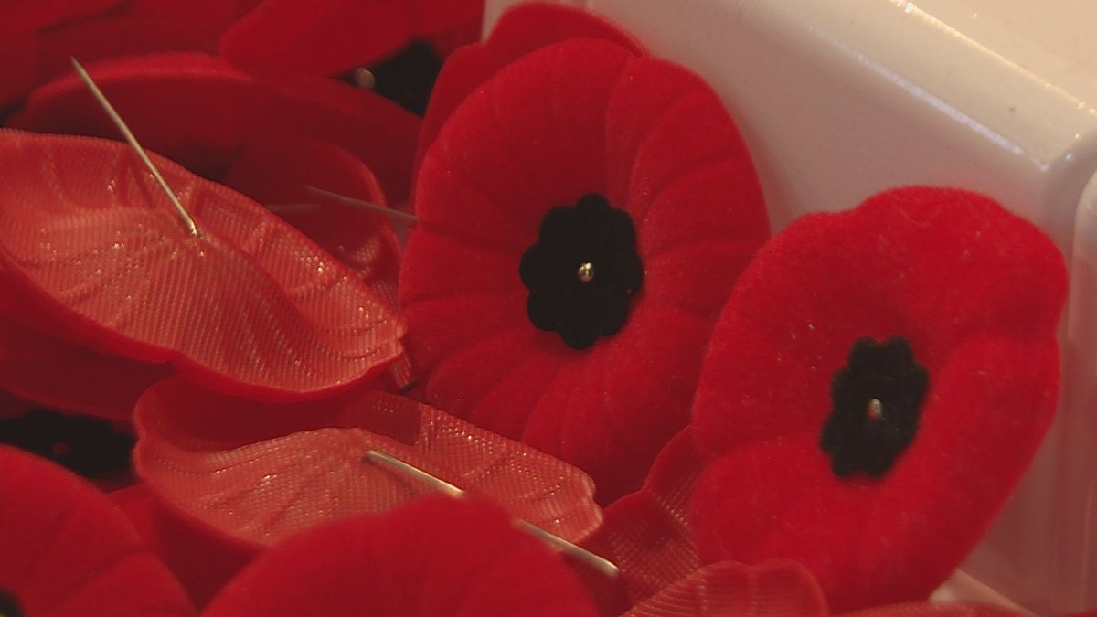 A number of special events will be held across the Hamilton and Niagara area on Nov. 11 for Remembrance Day.