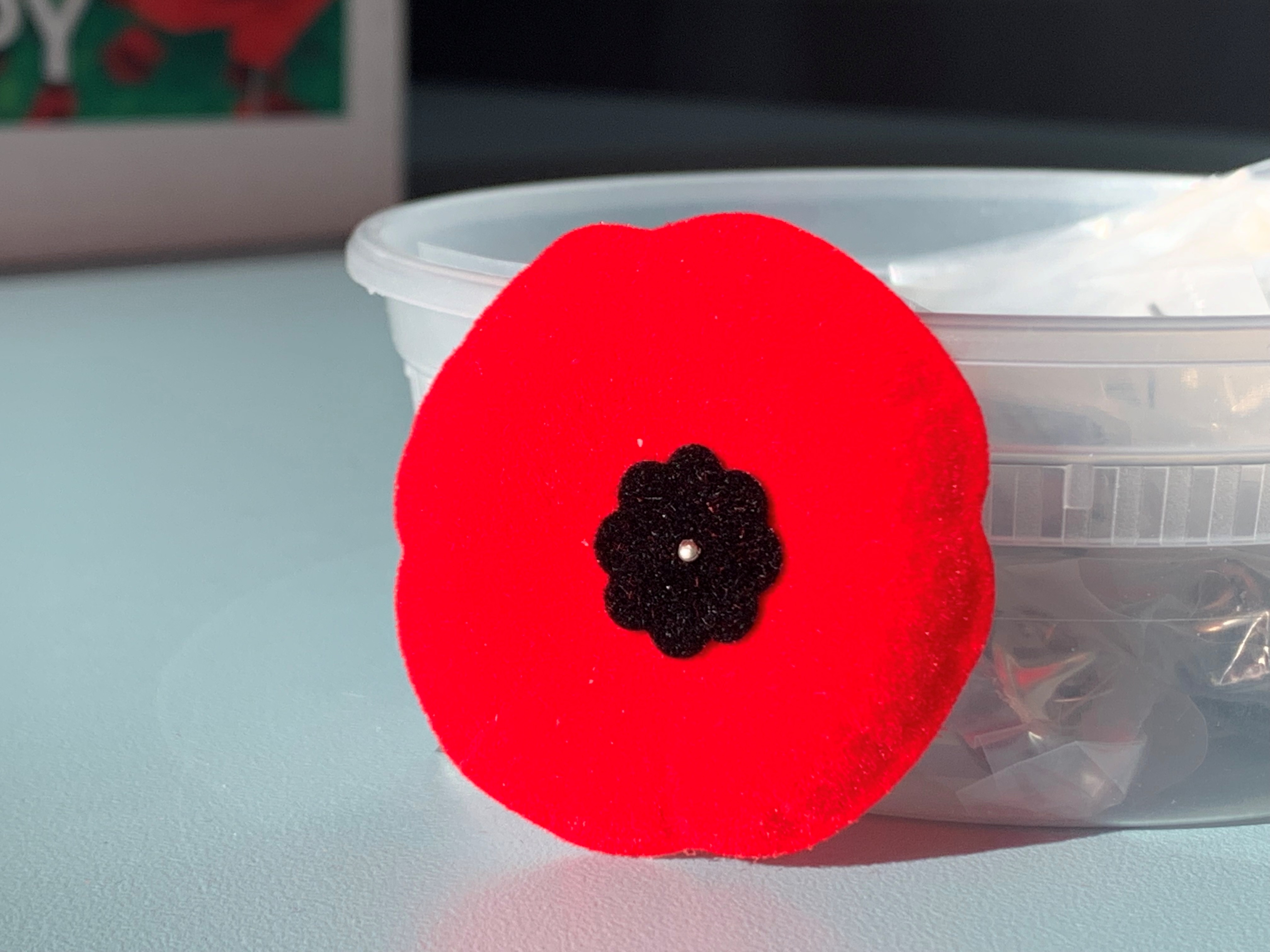 Schedules for Winnipeg Transit, city services on Remembrance Day
