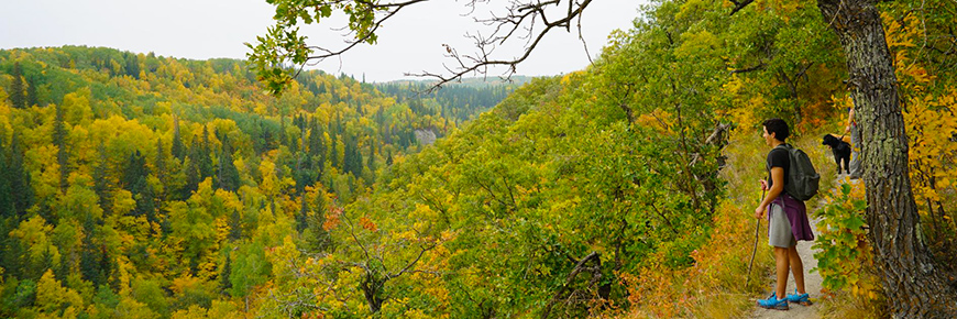 Riding Mountain National Park