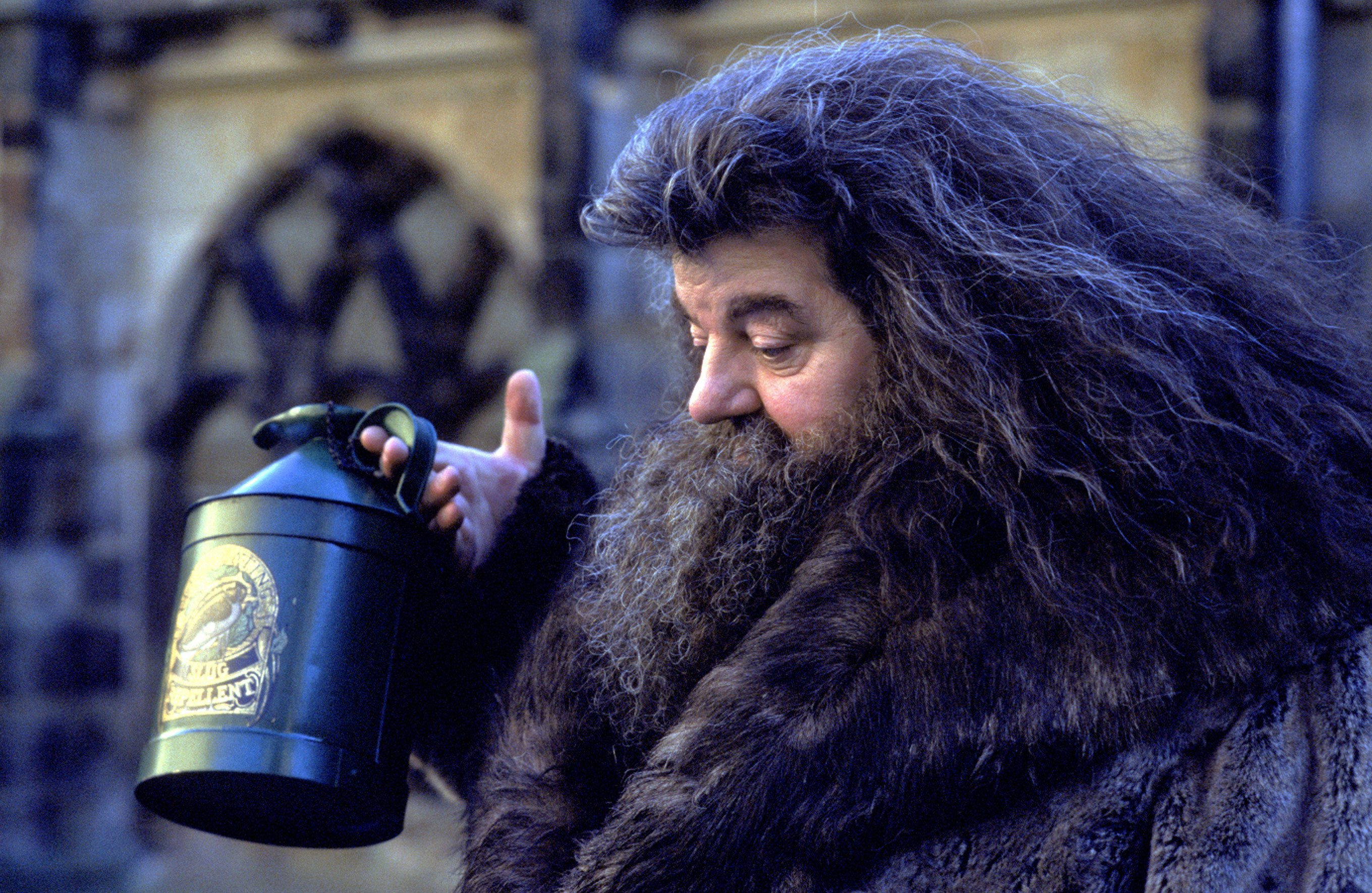 Robbie Coltrane, Who Played Hagrid In 'Harry Potter' Films, Dies Aged ...