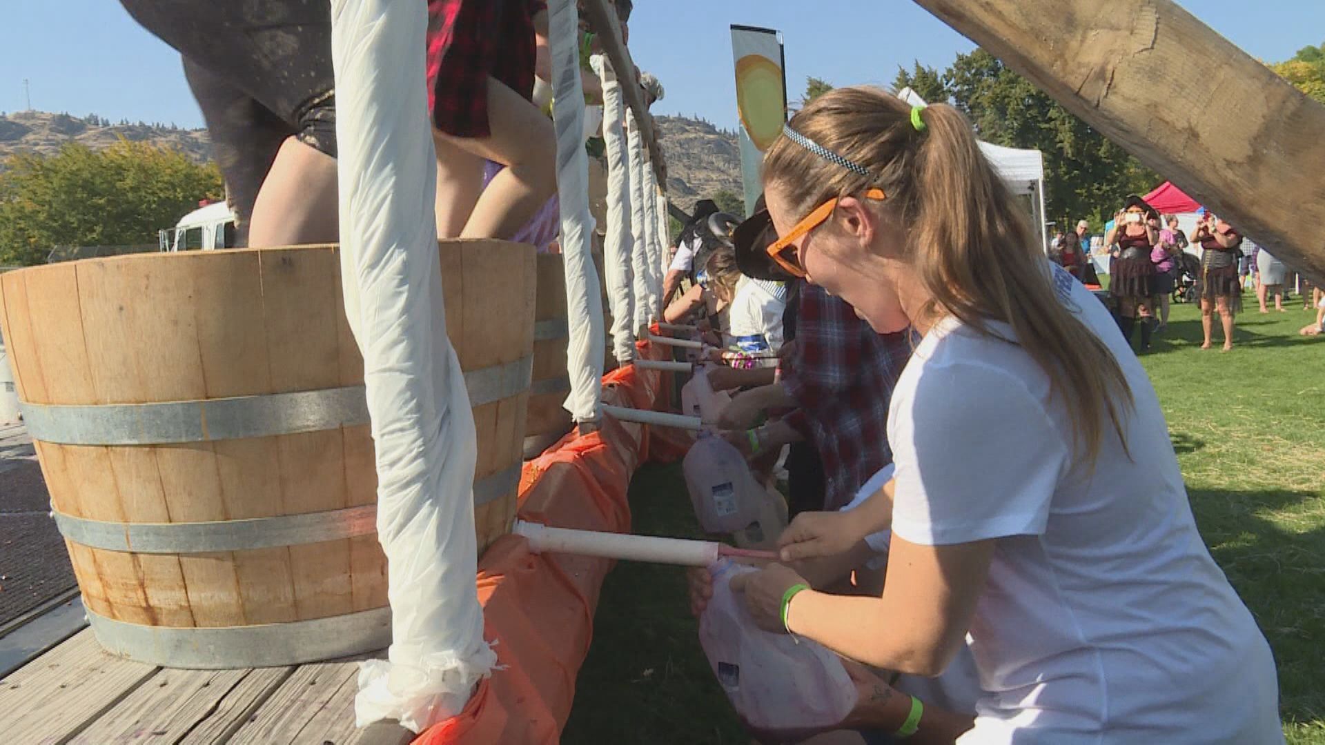 Festival of Grape brings together thosuands of wine lovers in South Okanagan