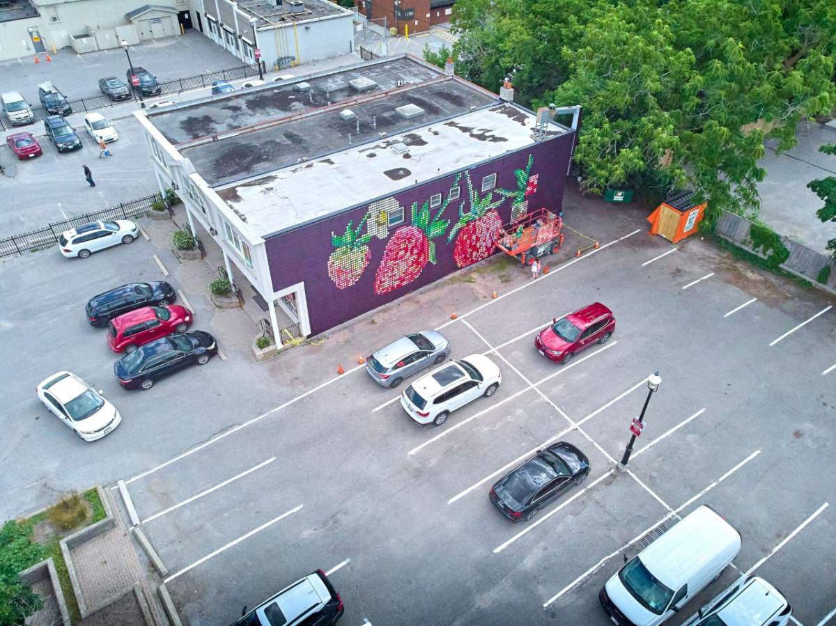 Strawberry Mural in Maple Avenue in Barrie Ontario by artist Bareket Kezwer