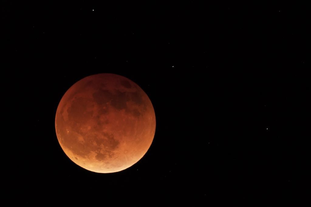 A total lunar eclipse will be visible throughout North America in the predawn hours Tuesday, although a cloudy forecast over Winnipeg may mean a livestream will be the best way to see the event, says a local astronomer.