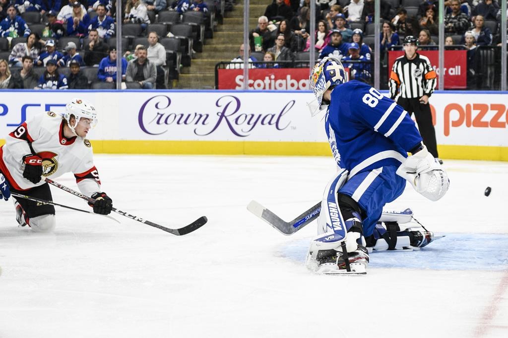 leafs sign goalie