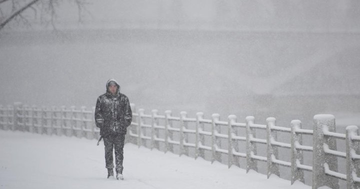 Предупреждение за снежен шквал в сила за Питърбъро, град Каварта Лейкс, Миндън