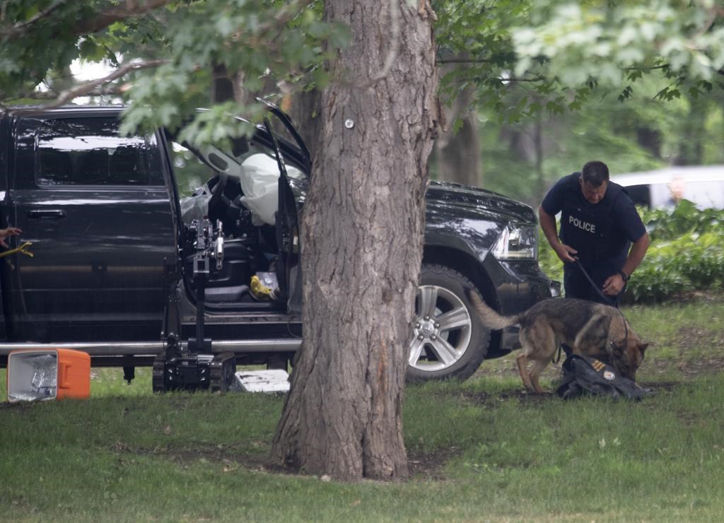 Armed reservist who crashed truck into Rideau Hall looking for Trudeau released