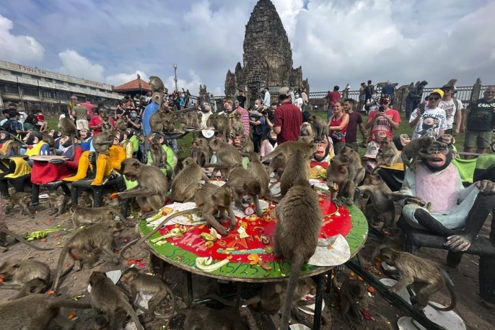 Not monkey business: A look at Thailand’s unique feast that draws international tourists