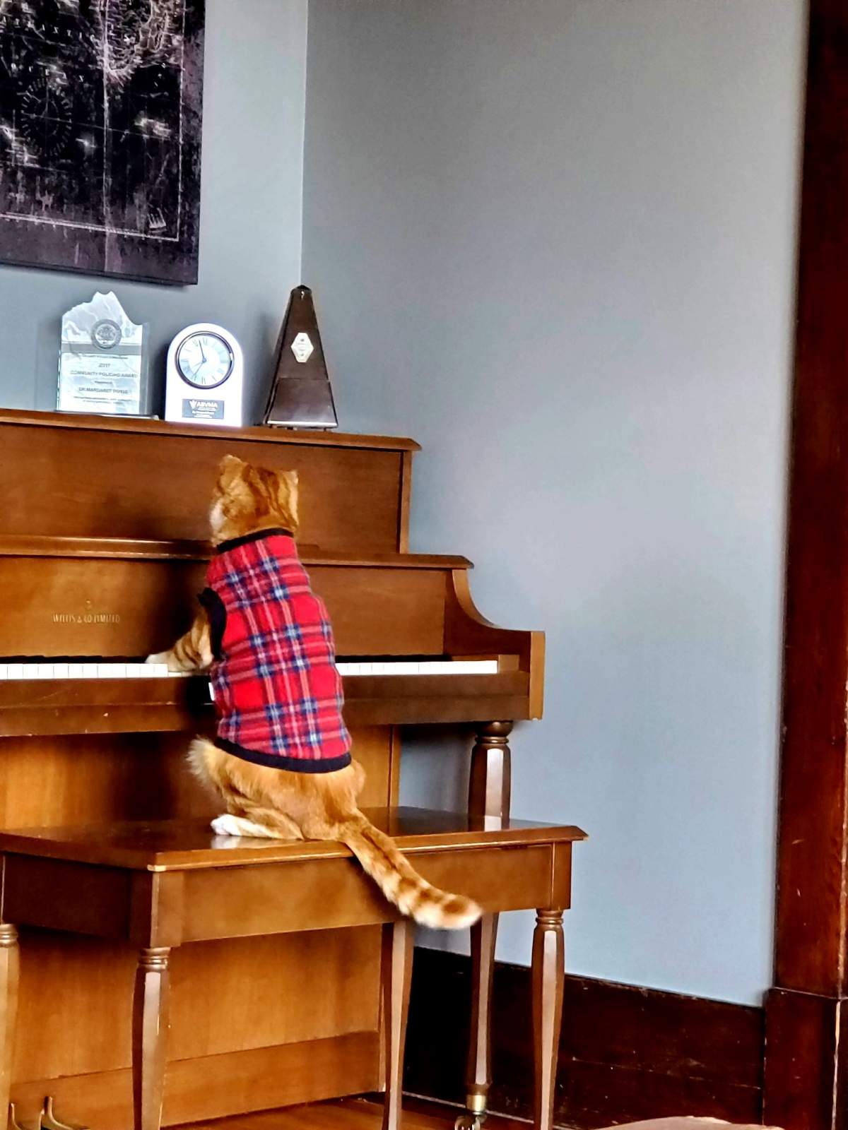 Angus wearing one of his sweaters.