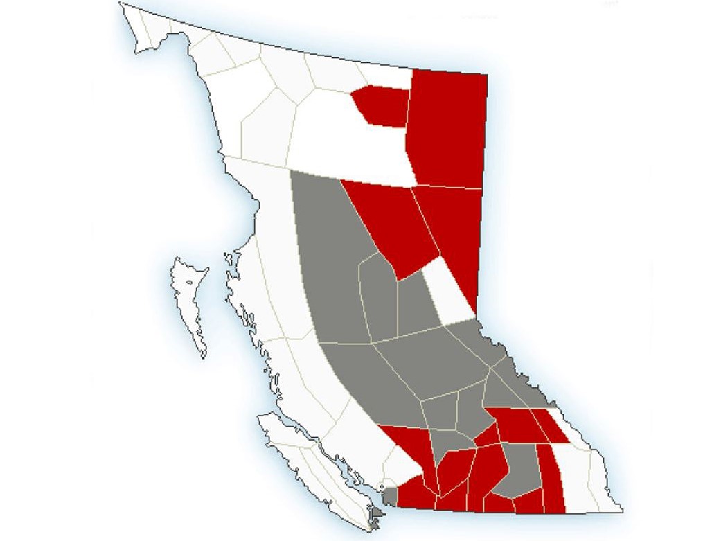 A graphic showing winter storm warnings and special weather statements for wind and snow across B.C.