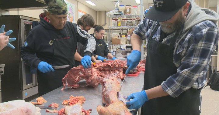 Regina Indigenous-led group harvests buffalo to give out to food bank users
