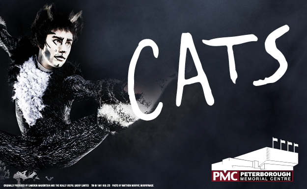 Cats – The Musical - image