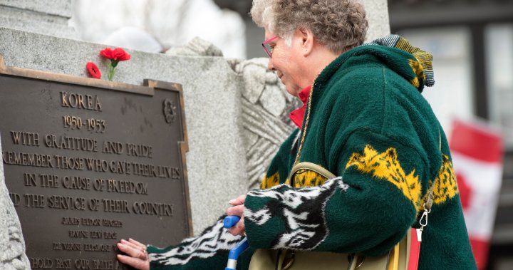 Crowds gather in New Brunswick for Remembrance Day ceremonies