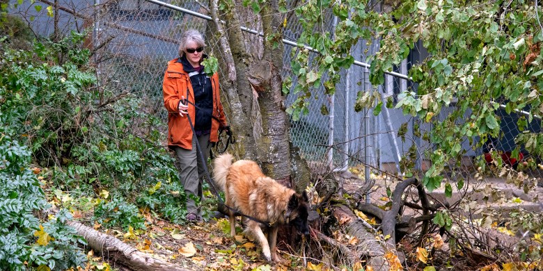 Idaho student killings: Police dispel rumours about stalker, skinned dog