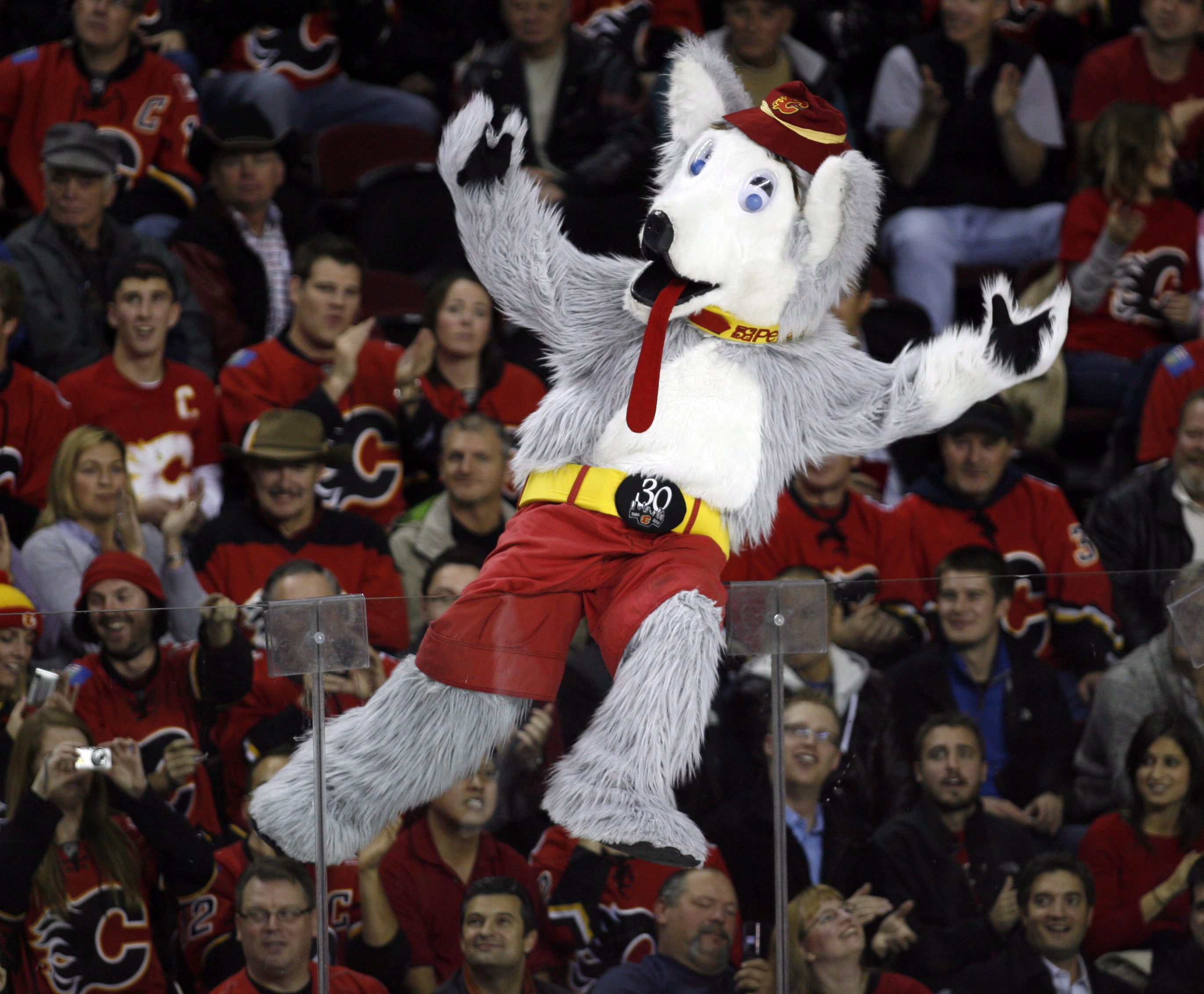 Harvey the Hound  Mascot Hall of Fame