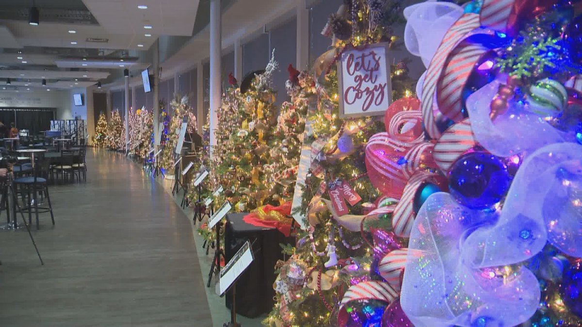 The Chinook Regional Hospital Foundation Christmas Tree Festival is returning for the first time in three years. Nov. 21, 2022.