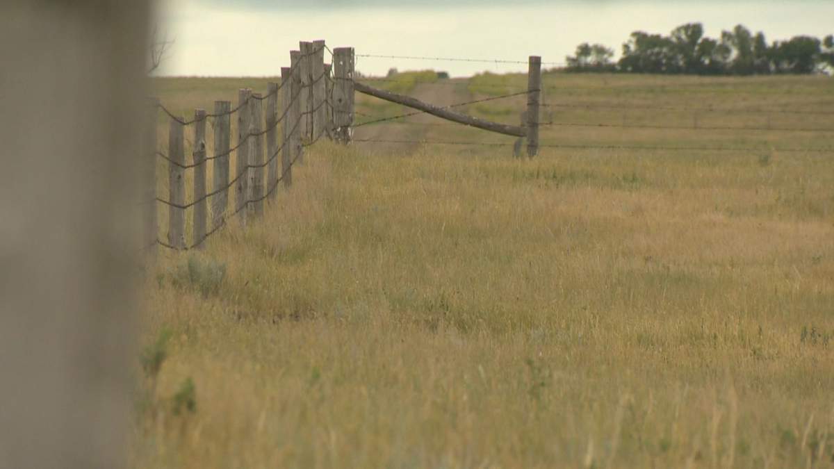 Indigenous leaders and communities continue to stand up to the Saskatchewan government when it comes to protecting the future of exercising their Treaty rights.