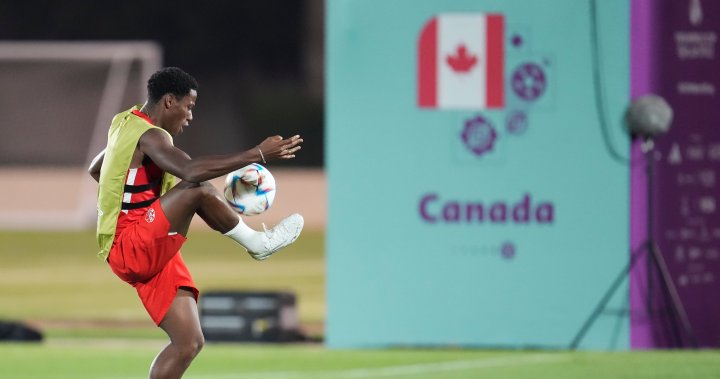 FIFA World Cup: Canadians ready for 1st game against Belgium – National | Globalnews.ca