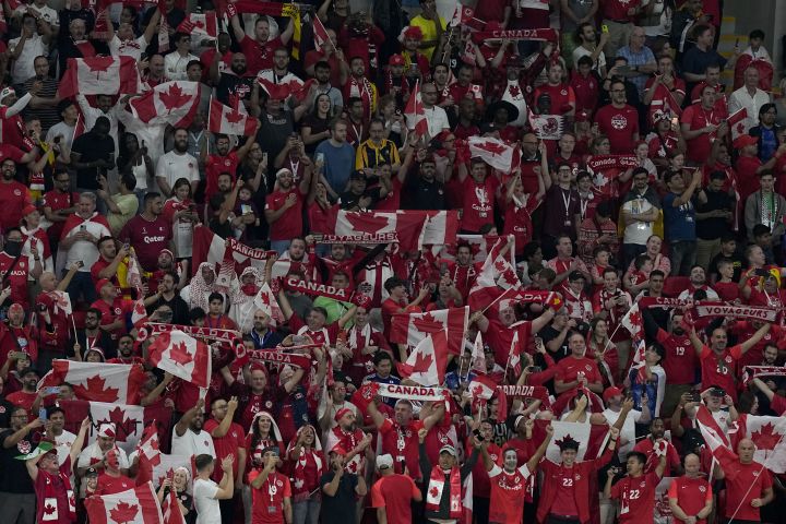 Fans cheer before the World Cup group F soccer match between Belgium and Canada, at the Ahmad Bin Ali Stadium in Doha, Qatar, Wednesday, Nov. 23, 2022.