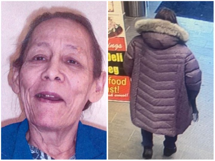 Silver alert issued for missing woman last seen in Winnipeg - Winnipeg ...