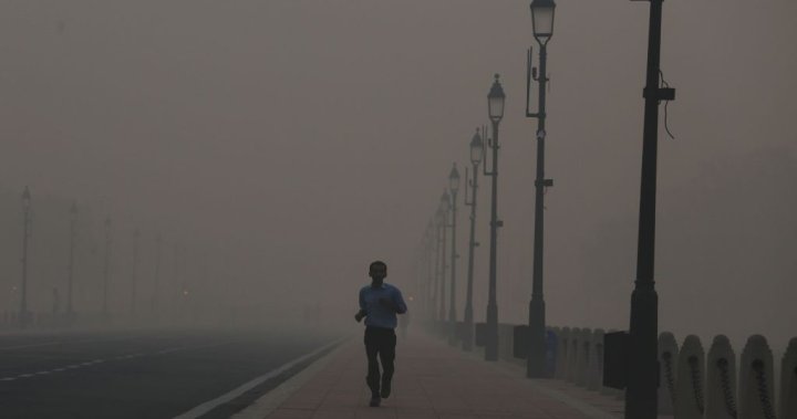 Toxic smog has turned India’s capital into a ‘gas chamber,’ environment minister says