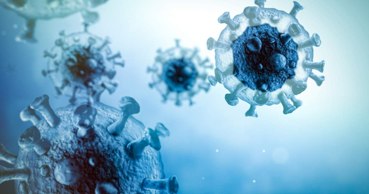 File - Rendered image of semi-transparent viruses.